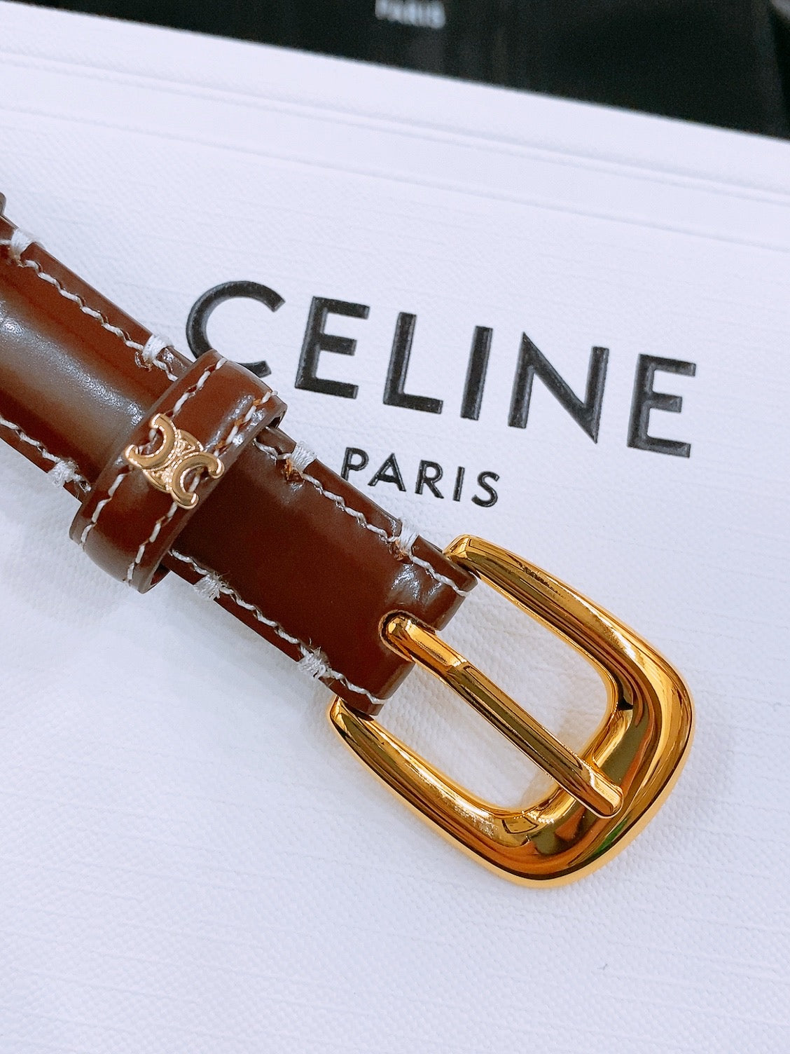 CELINE 25S BELT 18MM WITH ARC DE TRIOMPHE BUCKLE IN BURNT UMBER 571505
